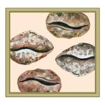 Lenco-Estampado-Conchas