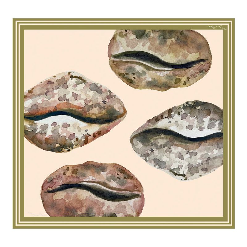 Lenco-Estampado-Conchas