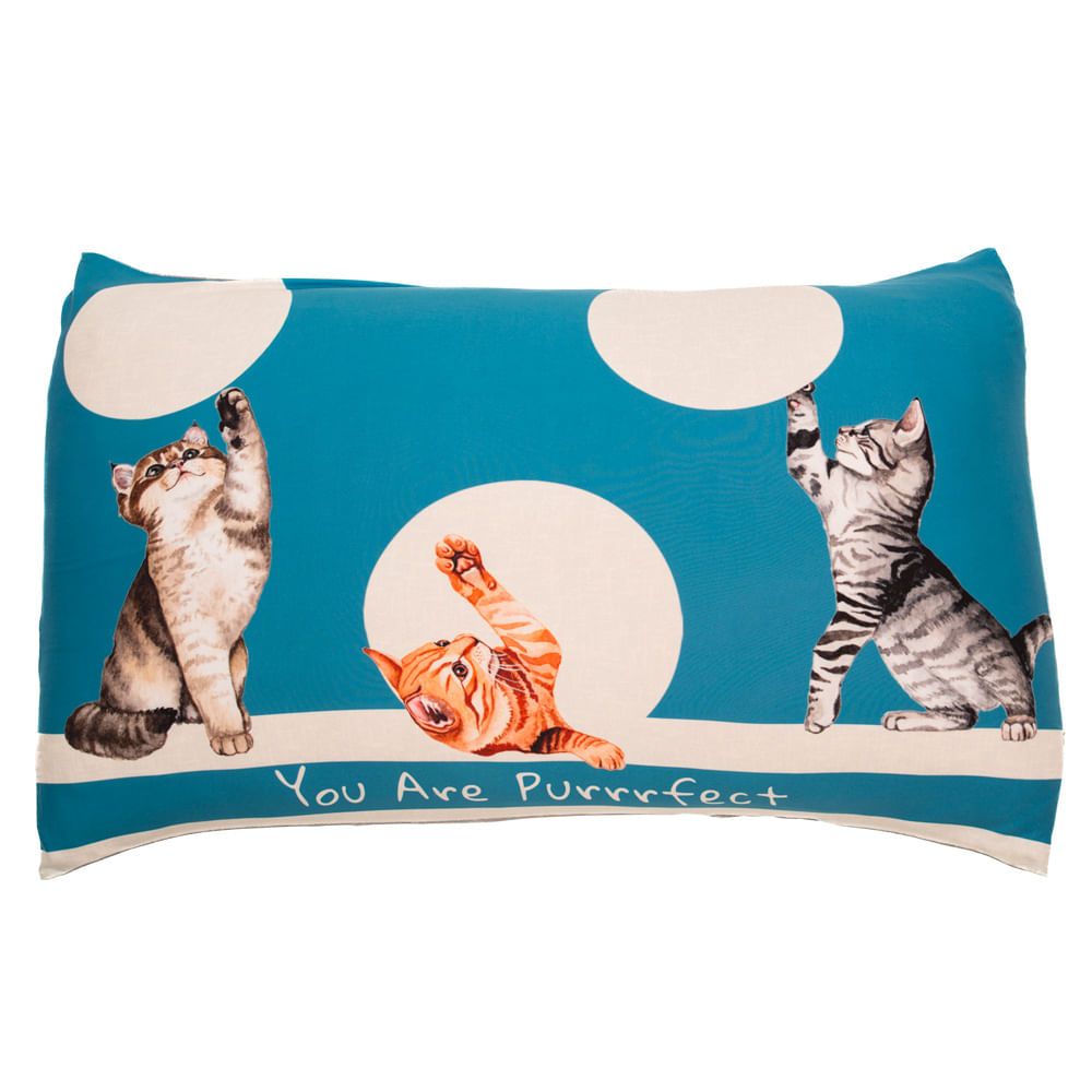 Kit Fronha Cats Azul-2 - Imagem 1