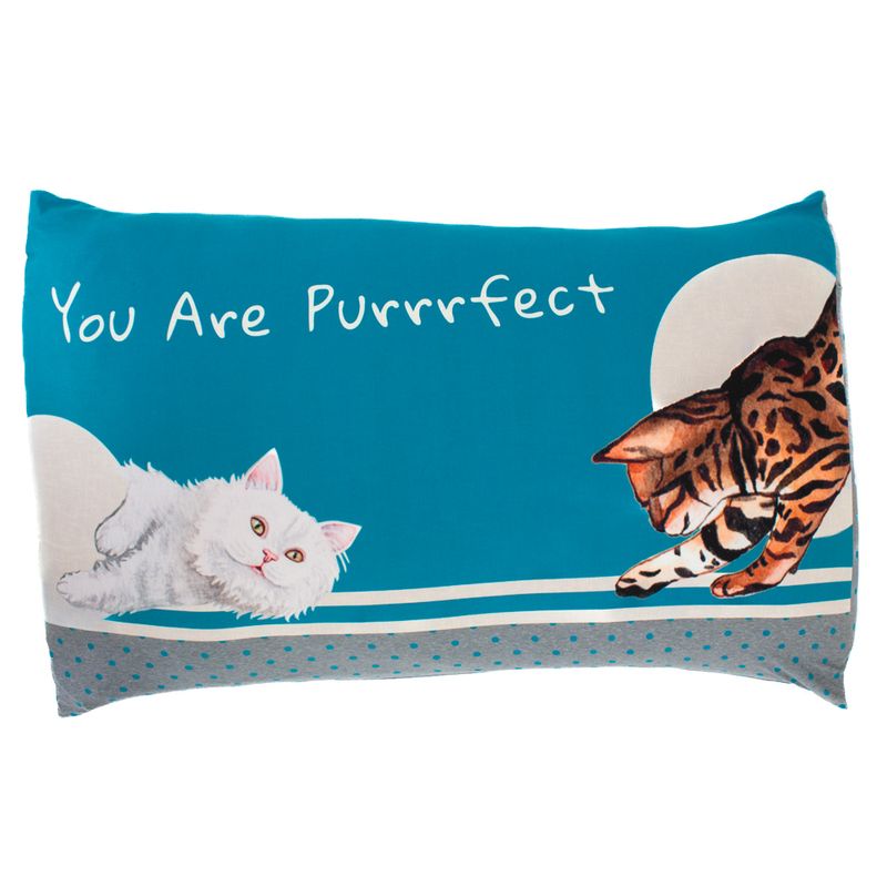 Kit-Fronha-Cats